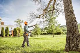 Mulching Services in University Gardens, NY